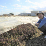 想いをともにする仲間と一緒に楽しんで   マリズファーム　髙山真里子さん