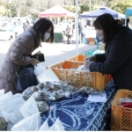 朝市で、乾燥生ごみと野菜を交換！